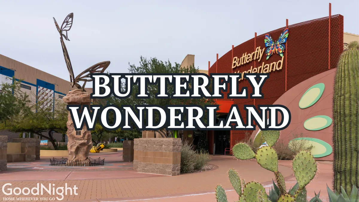 An exterior shot of the Butterfly Wonderland entrance, featuring a cheerful sign, a butterfly sculpture, landscaped gardens, and cacti. The scene exudes excitement and discovery, inviting families to a memorable local experience.
